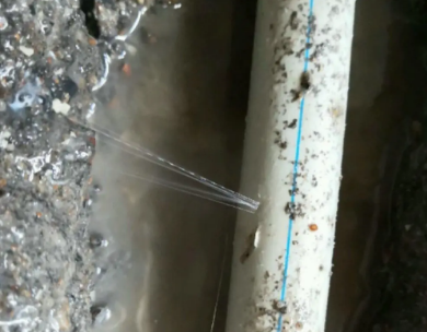 滨州市测漏水哪家好