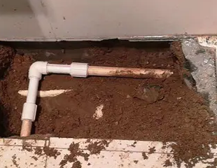 滨州市测漏水哪家好