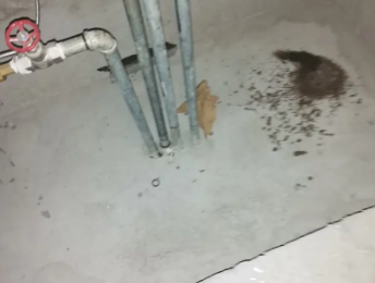 滨州市卫生间测漏水价格明细