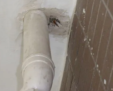 滨州市漏水检测哪家好